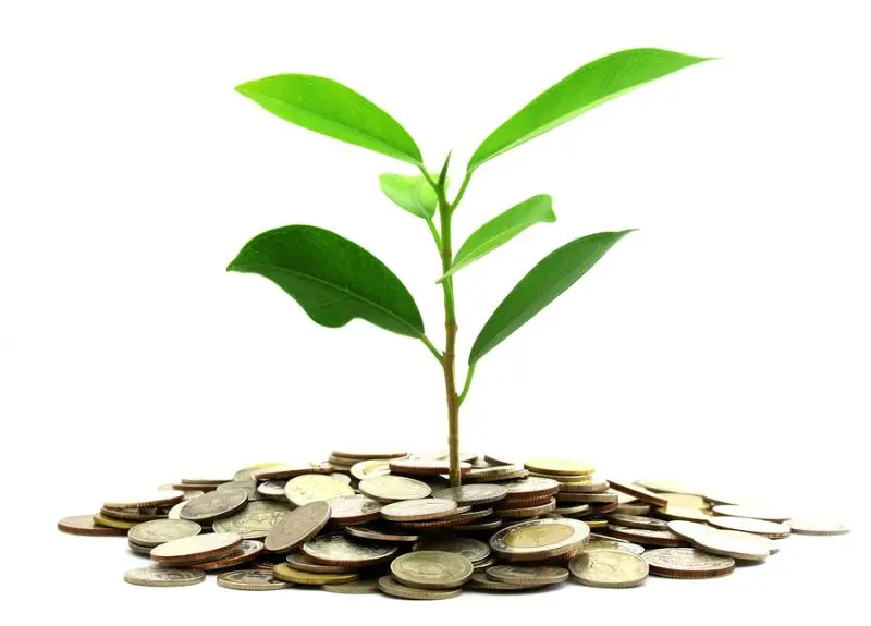 Инвестиции SKF в сохранение экологии | Свежие новости в Хабаровске